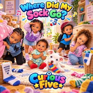 Where Did My Sock Go